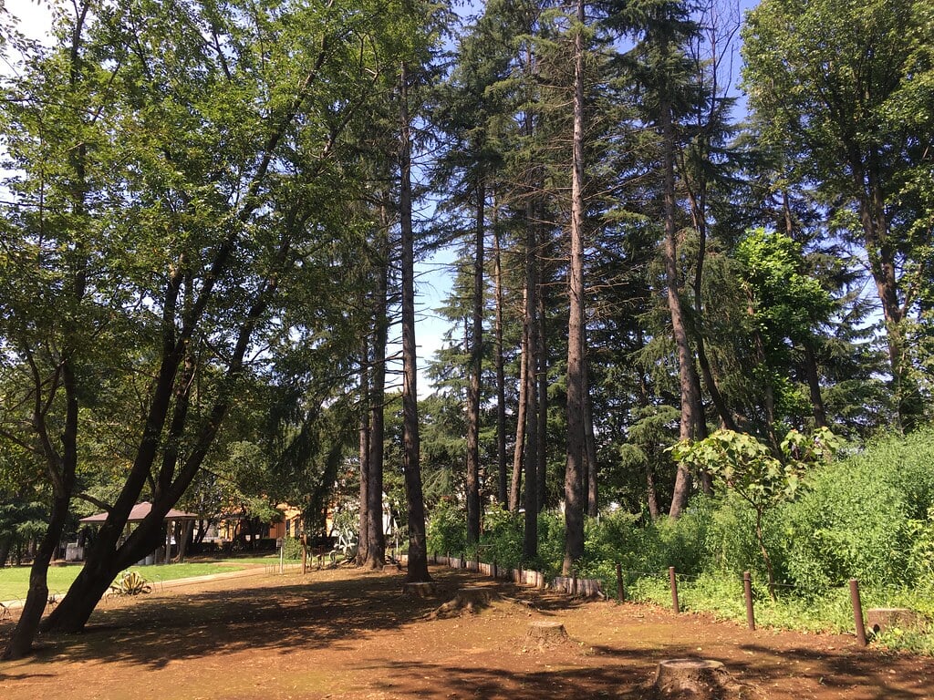 みずほエコパークの写真8