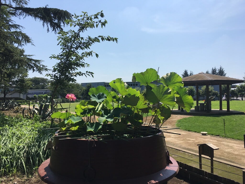 みずほエコパークの写真9