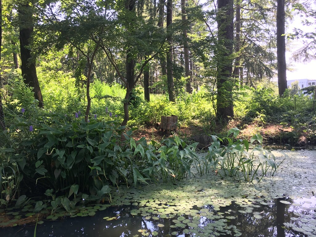 みずほエコパークの写真10