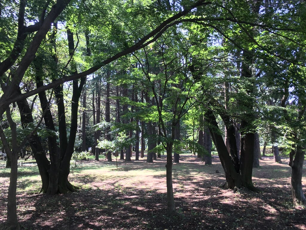 みずほエコパークの写真11