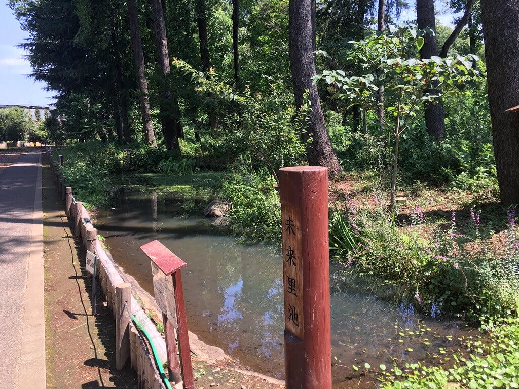 みずほエコパークの写真12