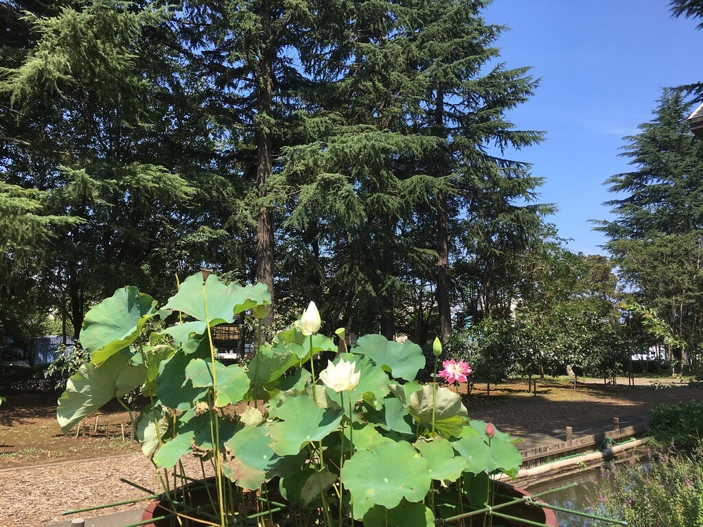 みずほエコパークの写真13