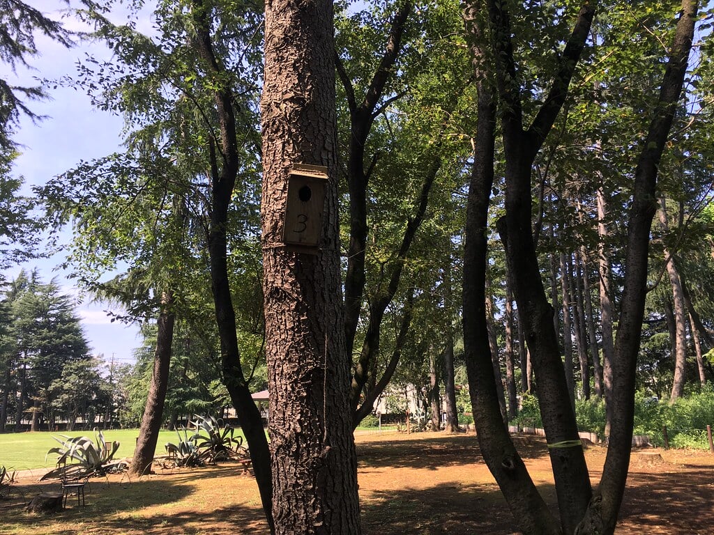 みずほエコパークの写真15