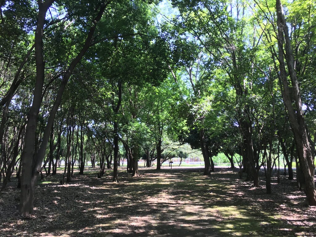 みずほエコパークの写真16