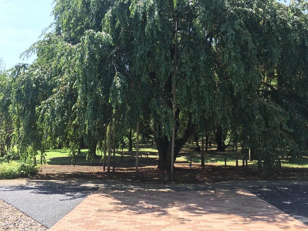 みずほエコパークの写真18