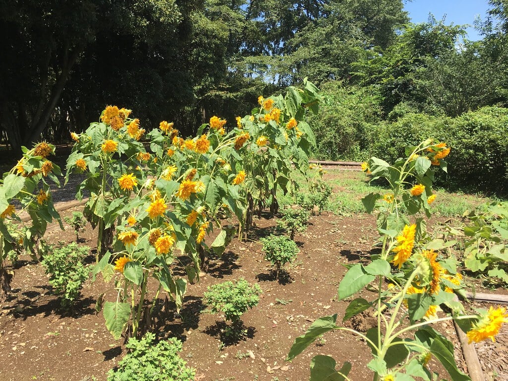 みずほエコパークの写真19