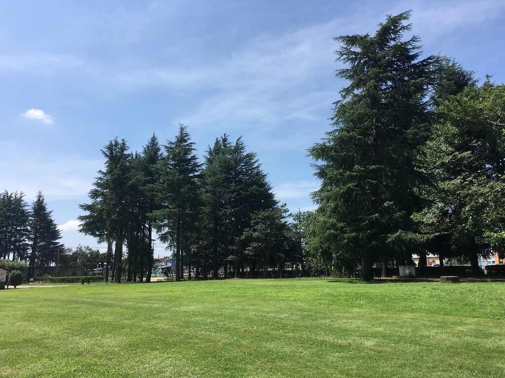 みずほエコパークの写真20