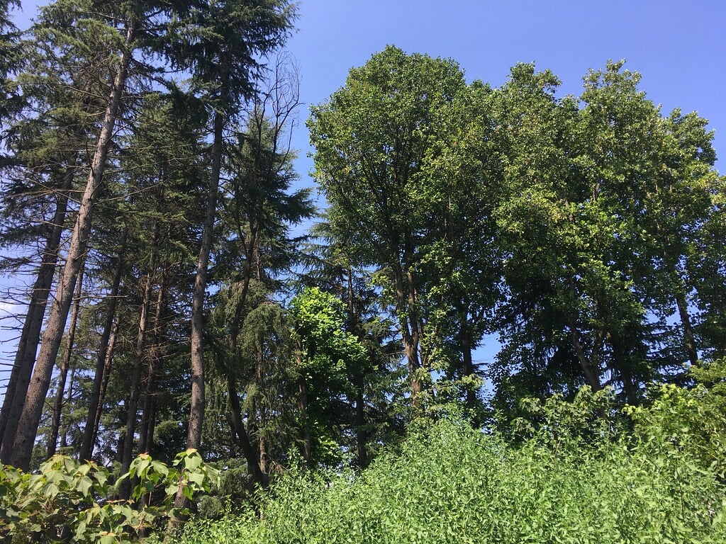 みずほエコパークの写真21