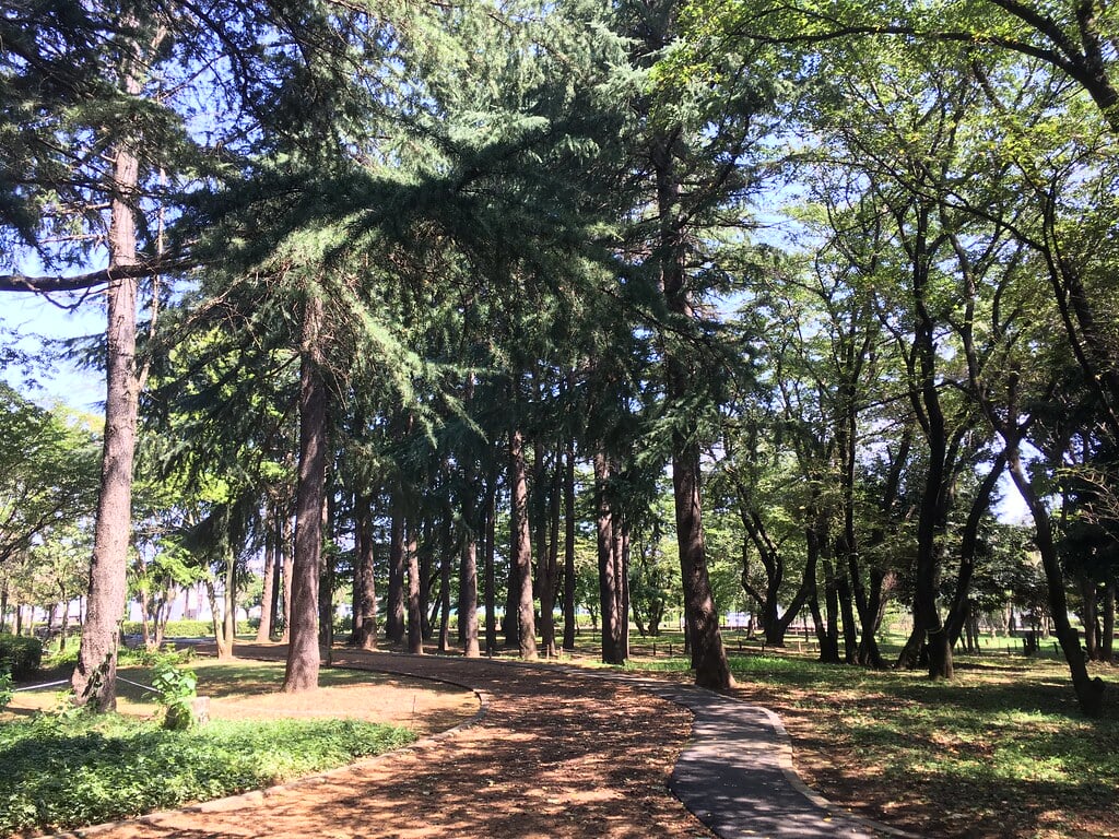 みずほエコパークの写真23