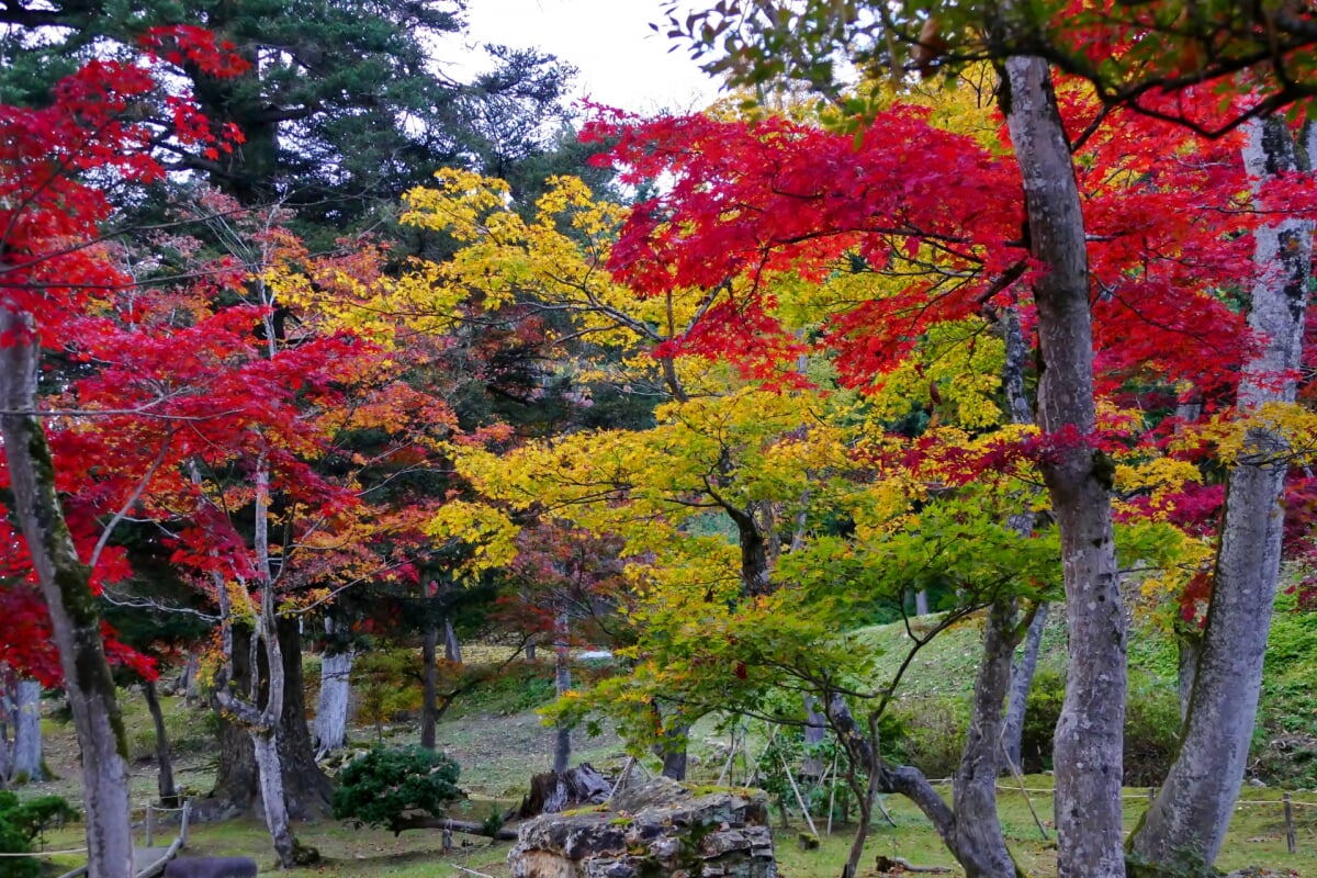 真山公園の写真3