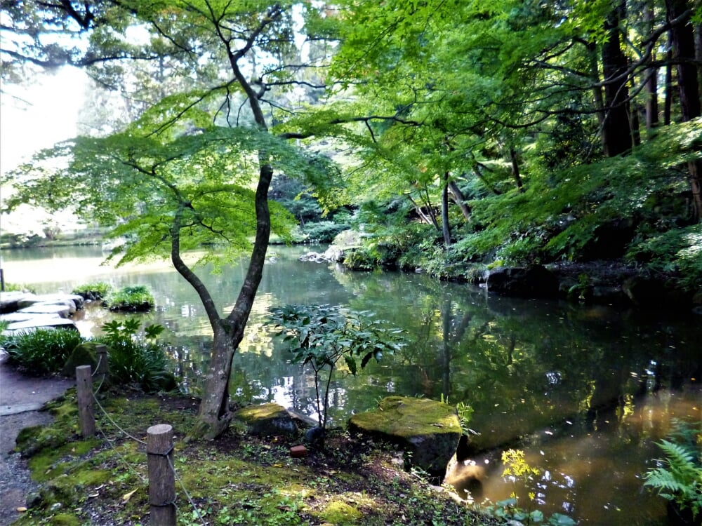 成田山公園の写真3