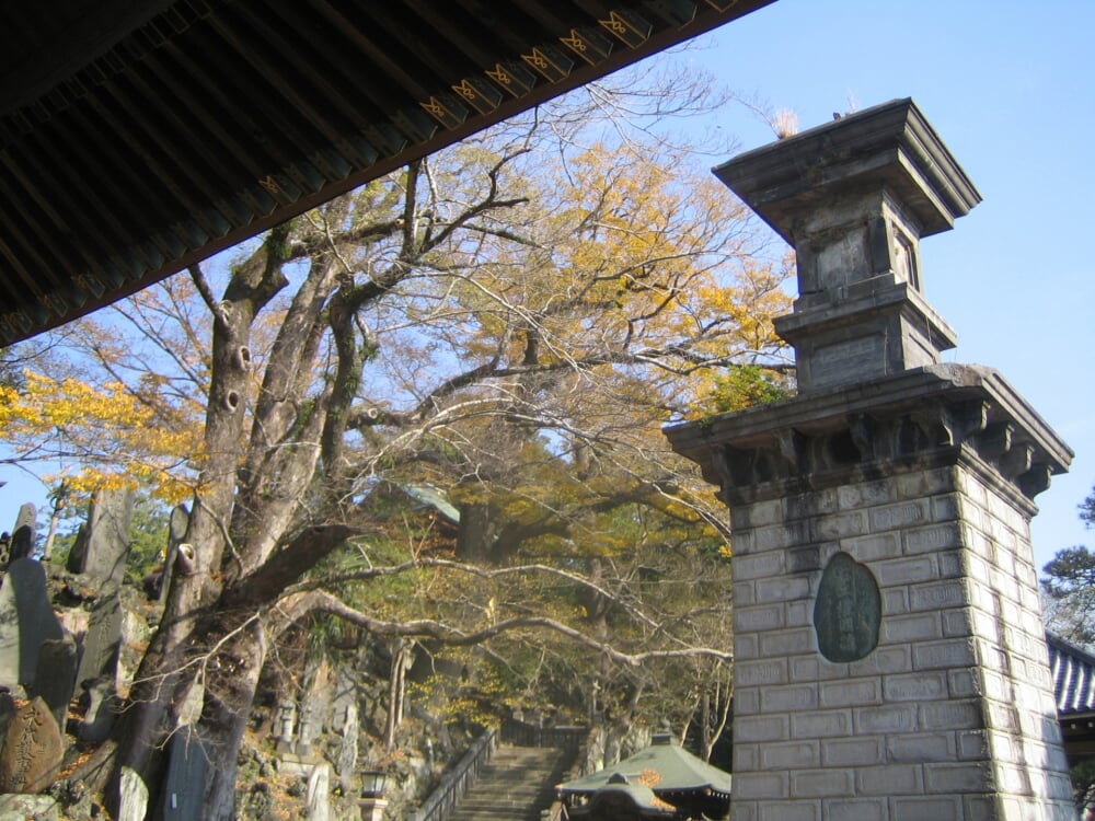 成田山公園の写真5