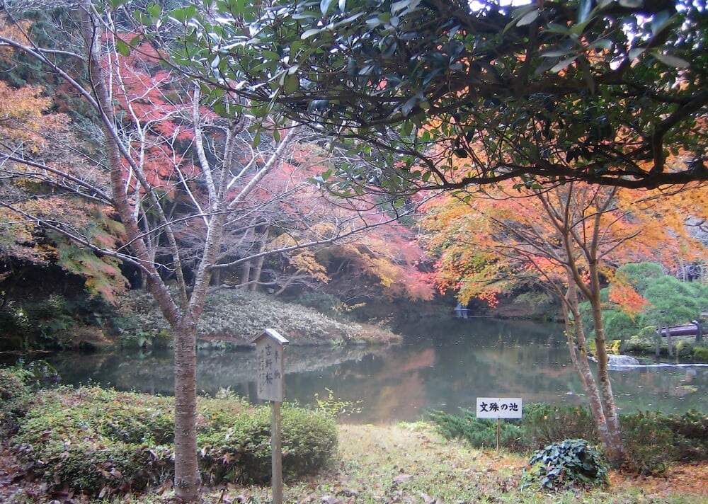 成田山公園の写真6