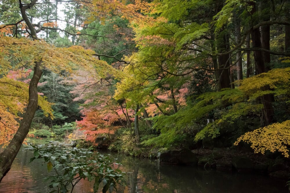 成田山公園の写真7