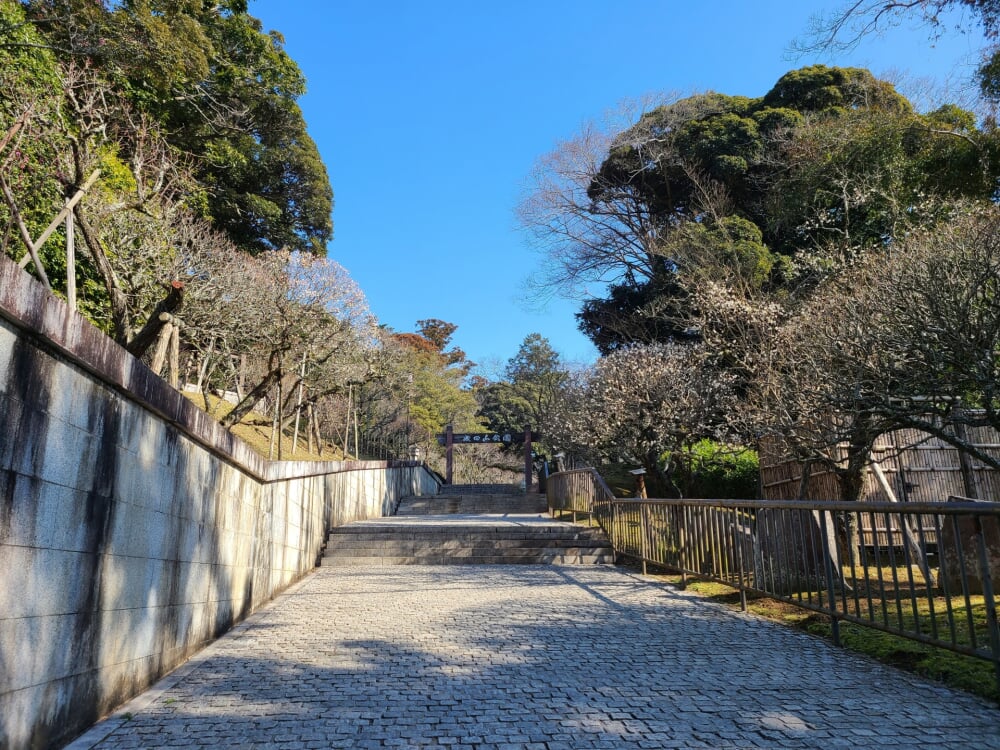 成田山公園の写真9