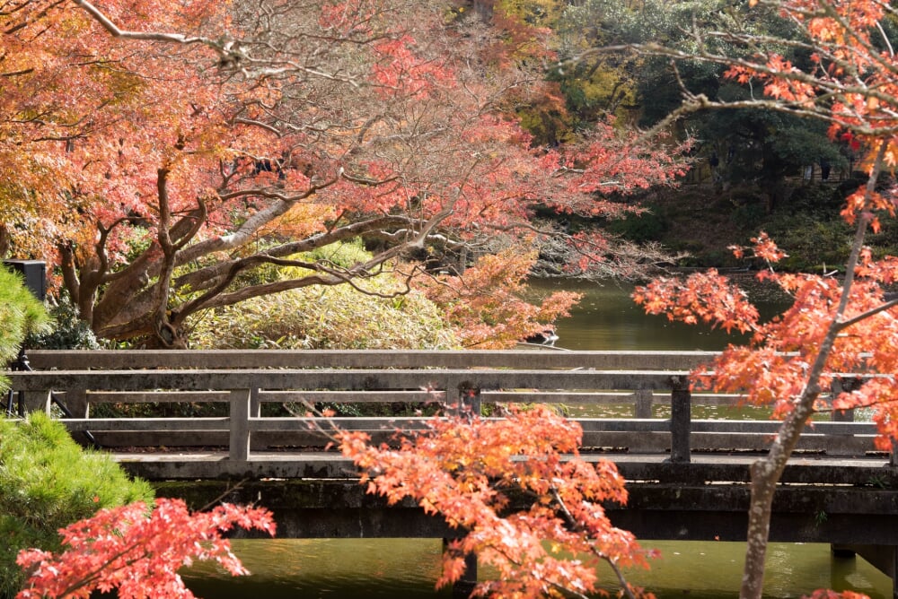 成田山公園の写真10