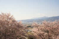 八代ふるさと公園