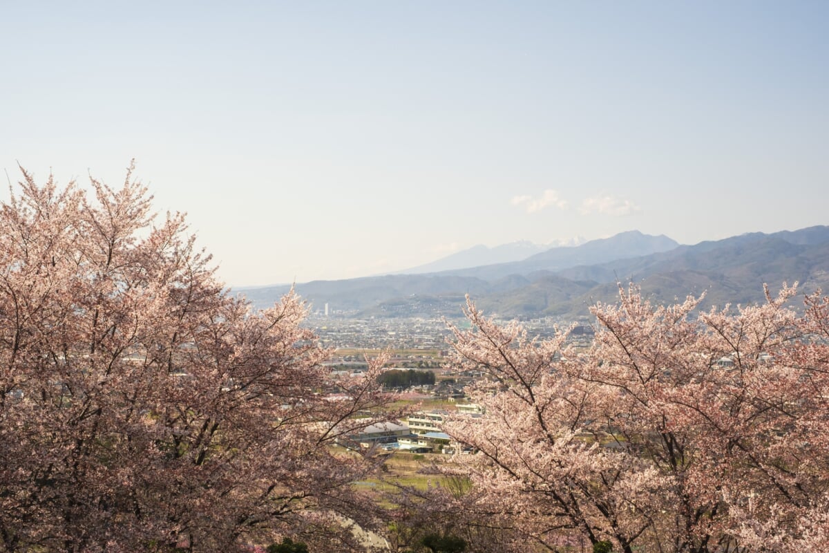 八代ふるさと公園の写真1