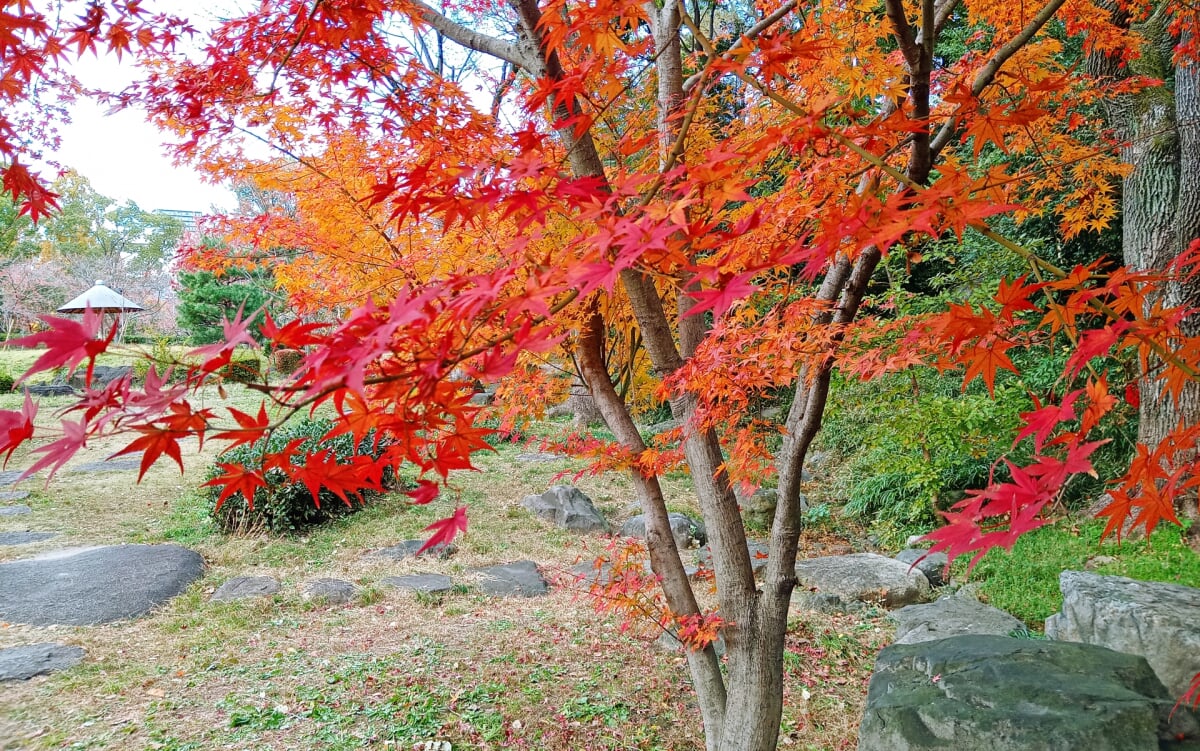 藤田邸跡庭園の写真5