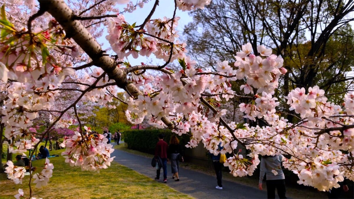藤田邸跡庭園の写真6