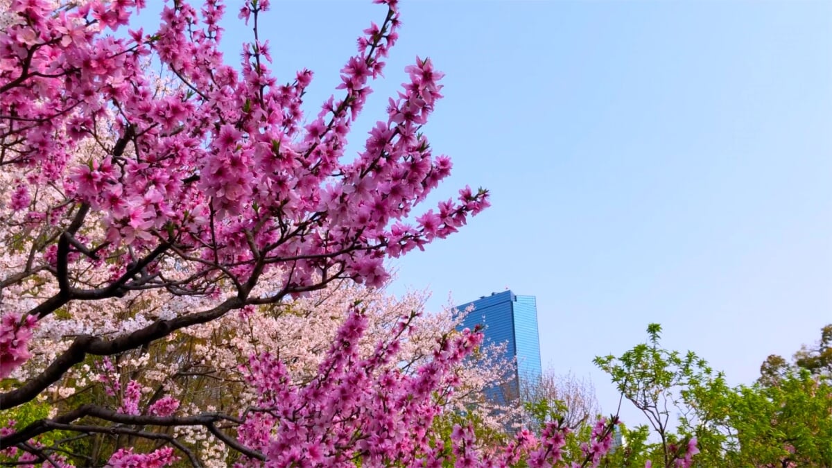 藤田邸跡庭園の写真7