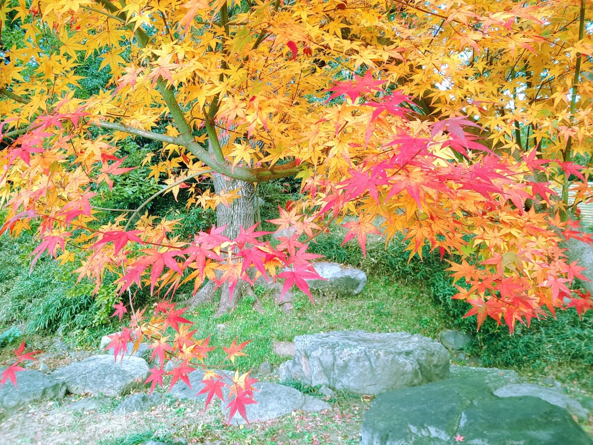 藤田邸跡庭園の写真9