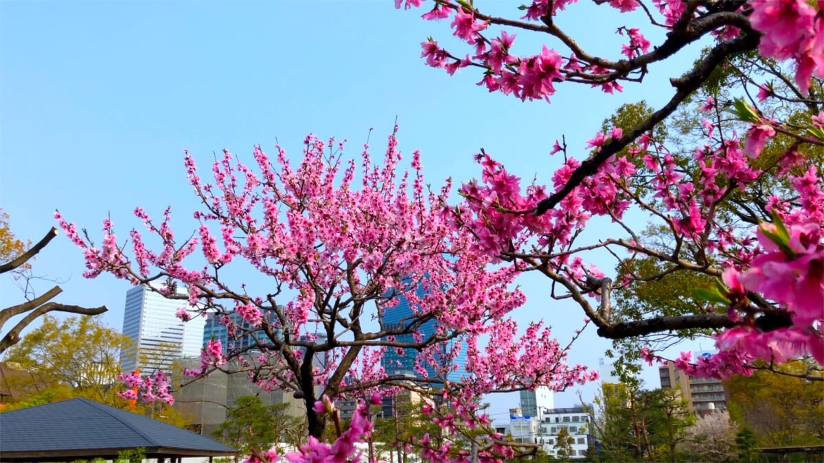 藤田邸跡庭園の写真13
