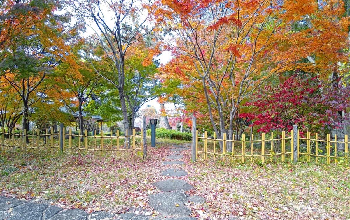 藤田邸跡庭園の写真14