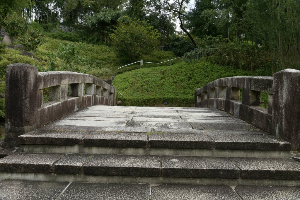 京都市洛西竹林公園の写真2