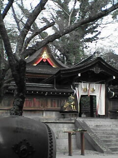 廣瀬大社の写真2