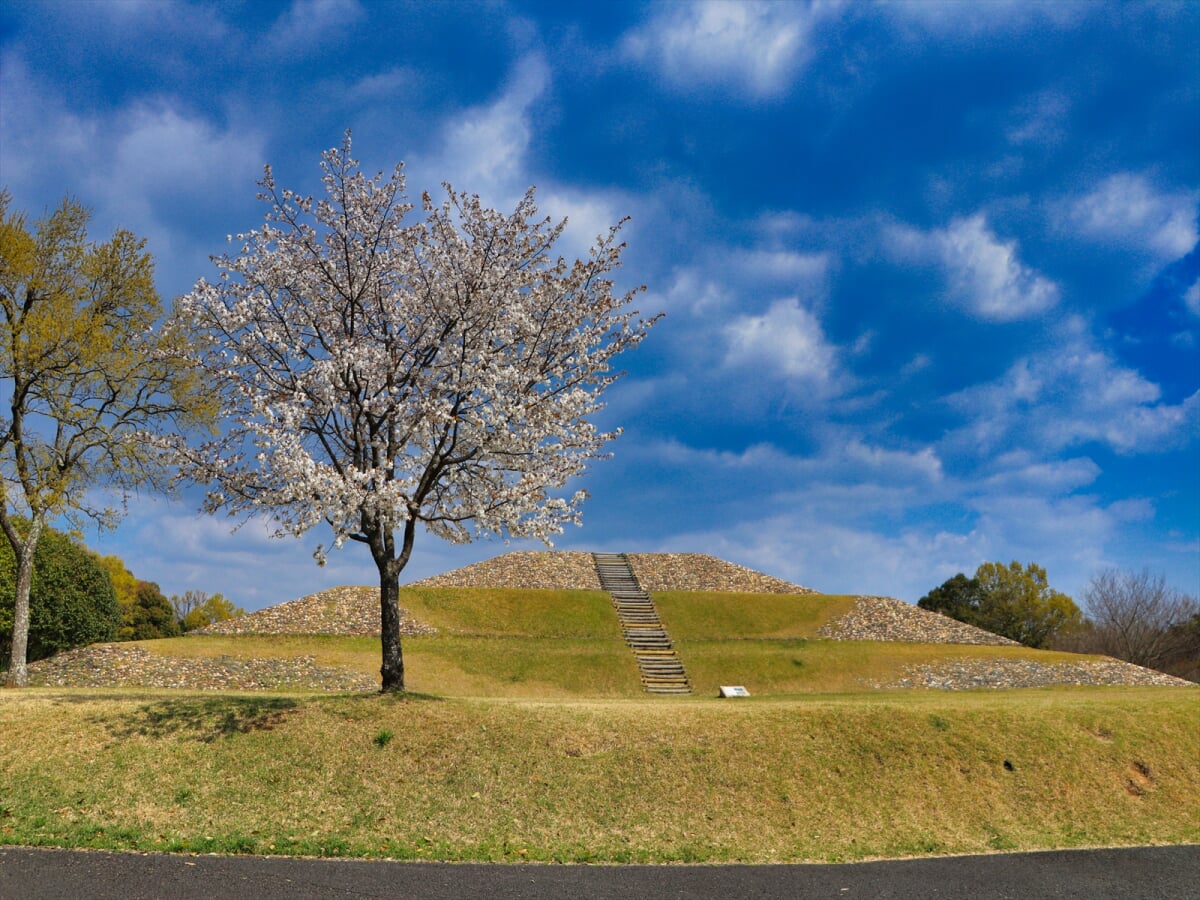 千曲市 森将軍塚古墳館の写真3