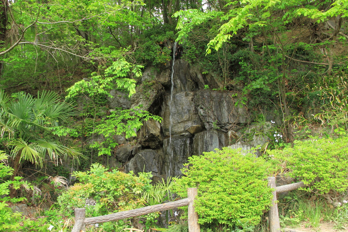 羊山公園の写真2