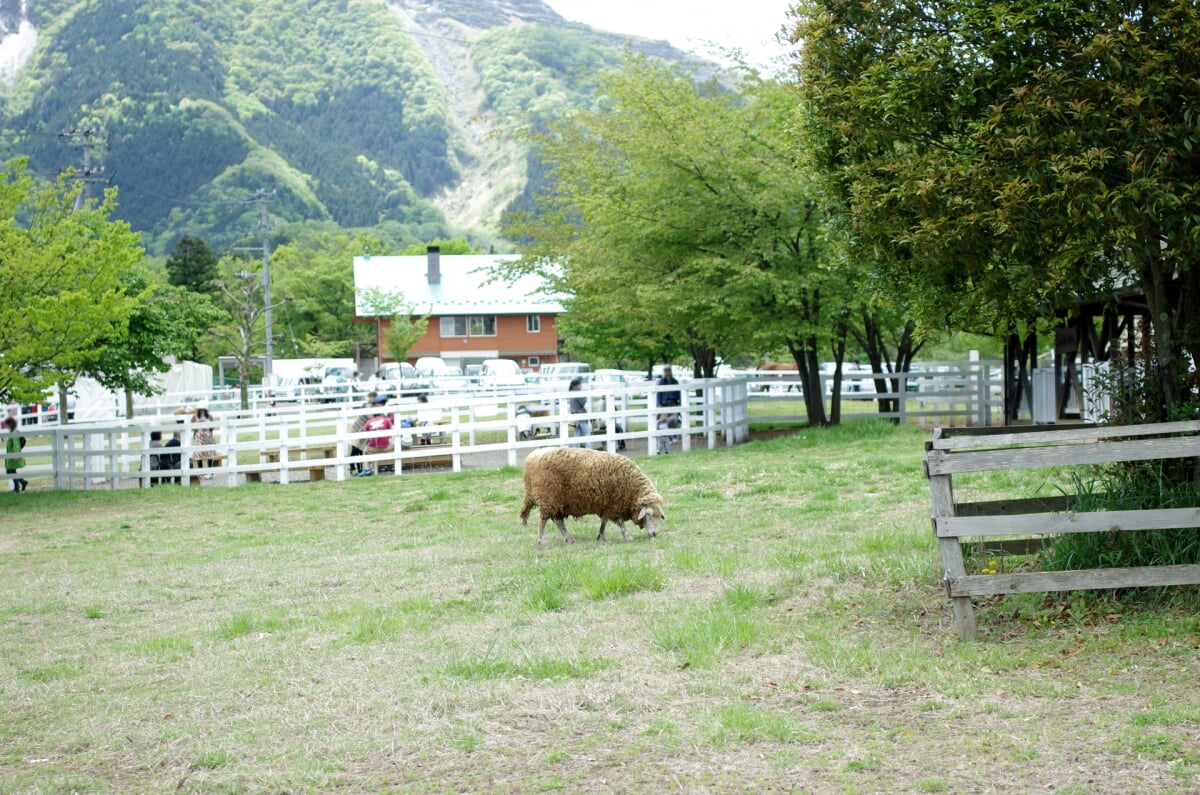 羊山公園の写真4