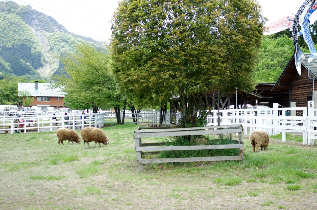 羊山公園の写真9