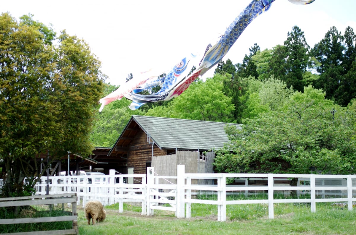 羊山公園の写真17