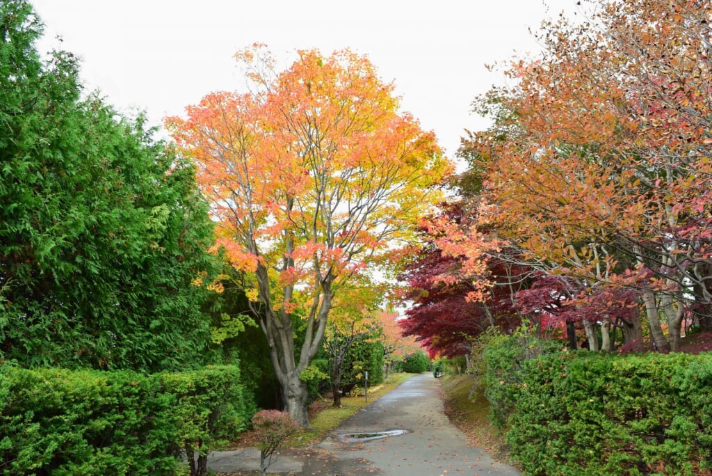 札幌市平岡樹芸センターの写真1