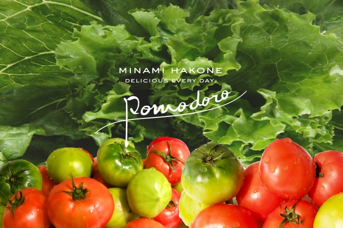 道の駅 伊豆ゲートウェイ函南の写真6