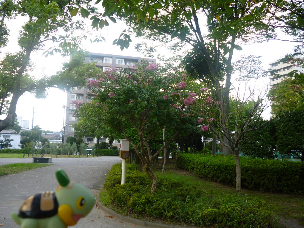 亀戸中央公園の写真3