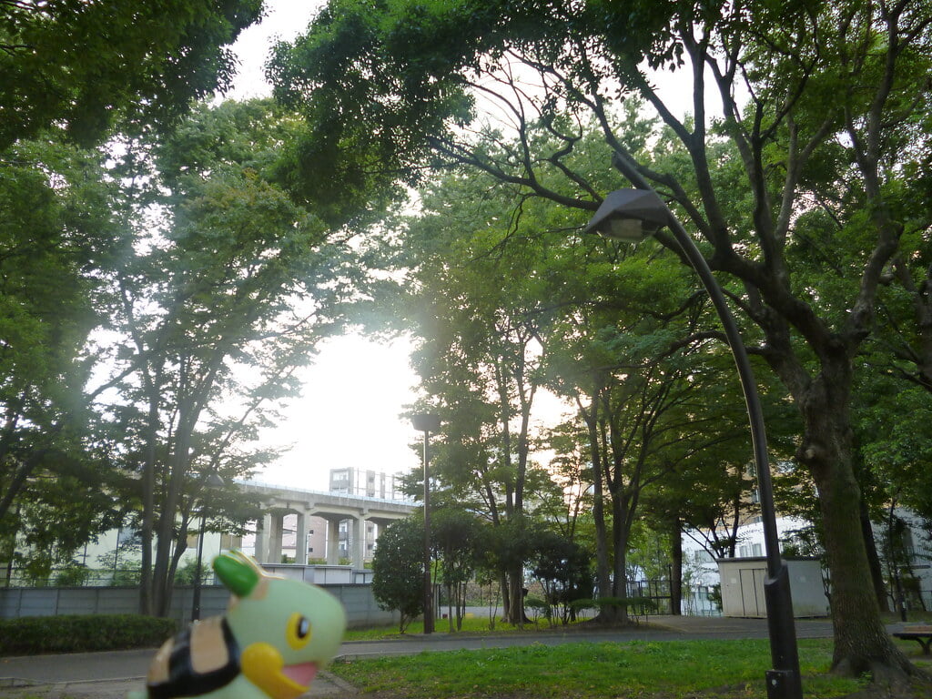 亀戸中央公園の写真7