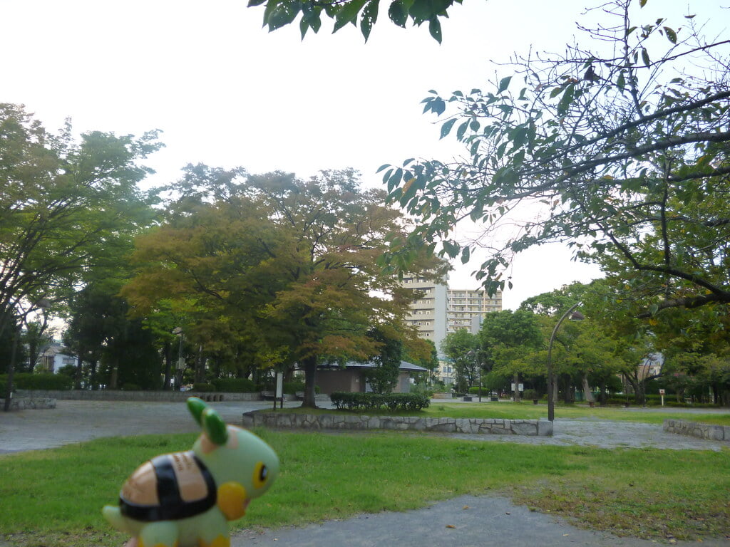 亀戸中央公園の写真10