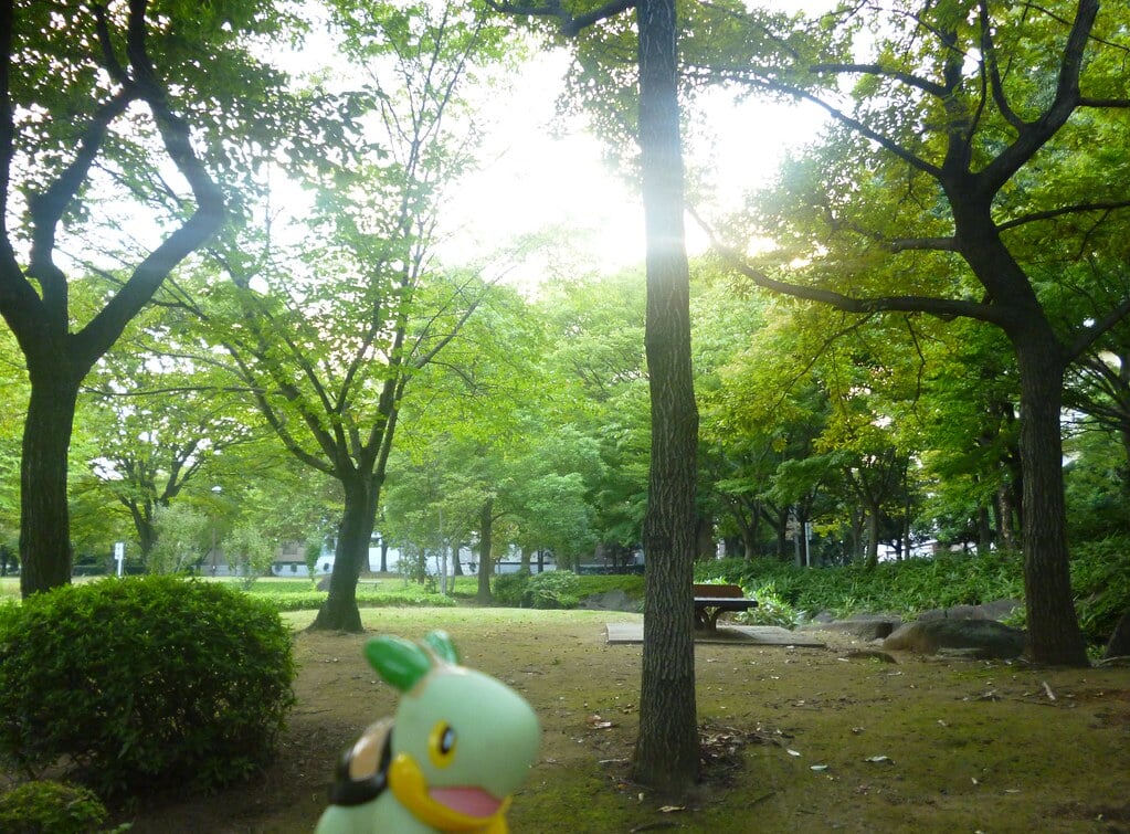 亀戸中央公園の写真12