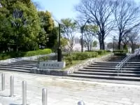 亀戸中央公園