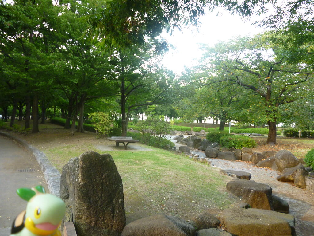 亀戸中央公園の写真13