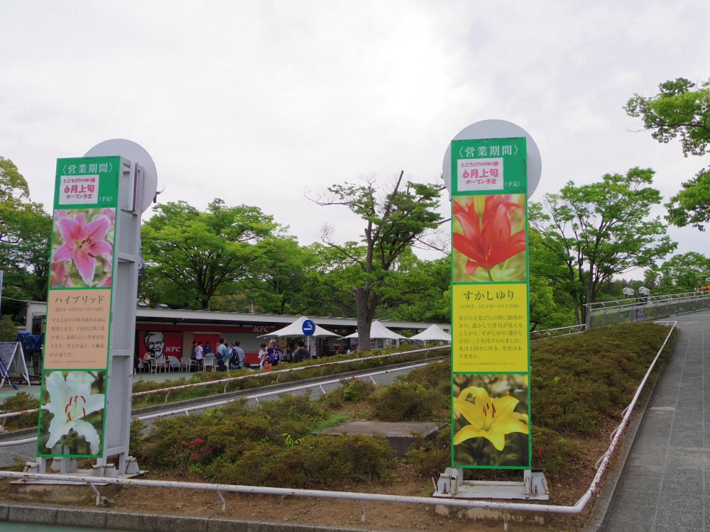 ところざわのゆり園の写真2