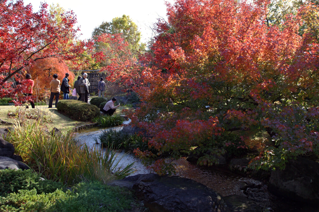 姫路城西御屋敷跡庭園　好古園の写真5