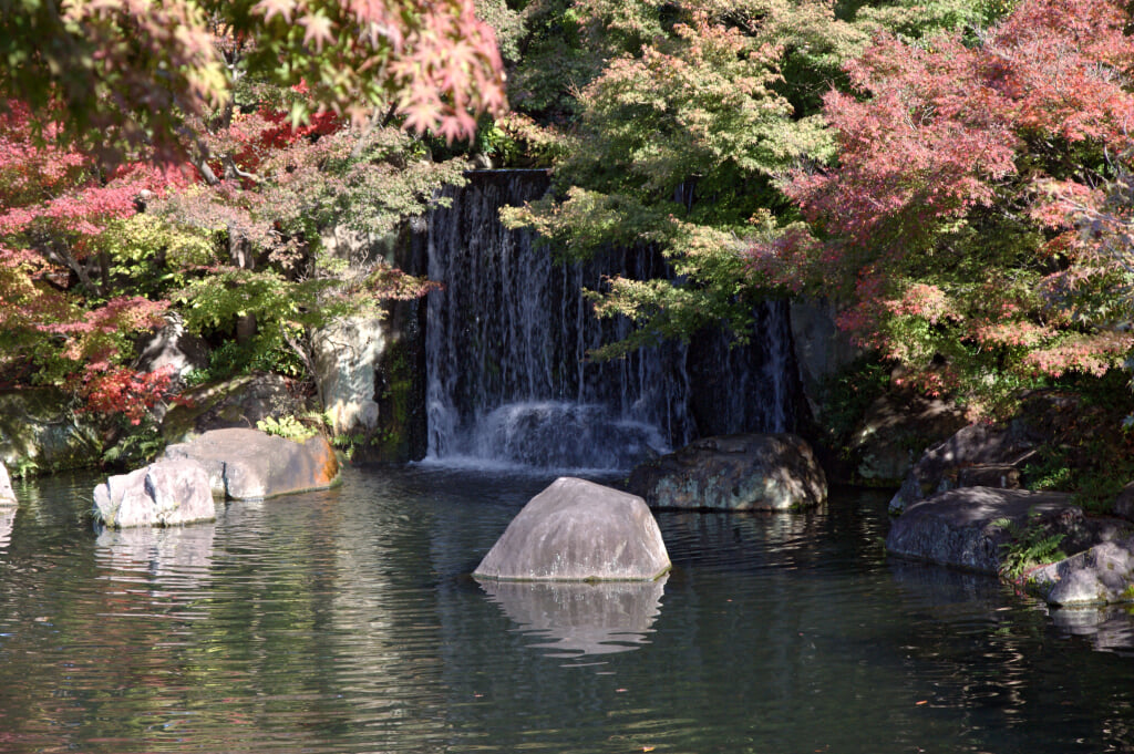 姫路城西御屋敷跡庭園　好古園の写真6