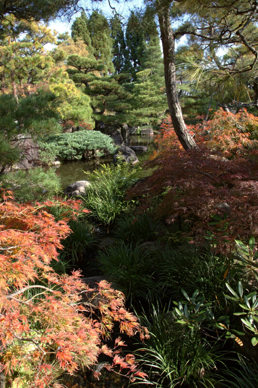 姫路城西御屋敷跡庭園　好古園の写真8