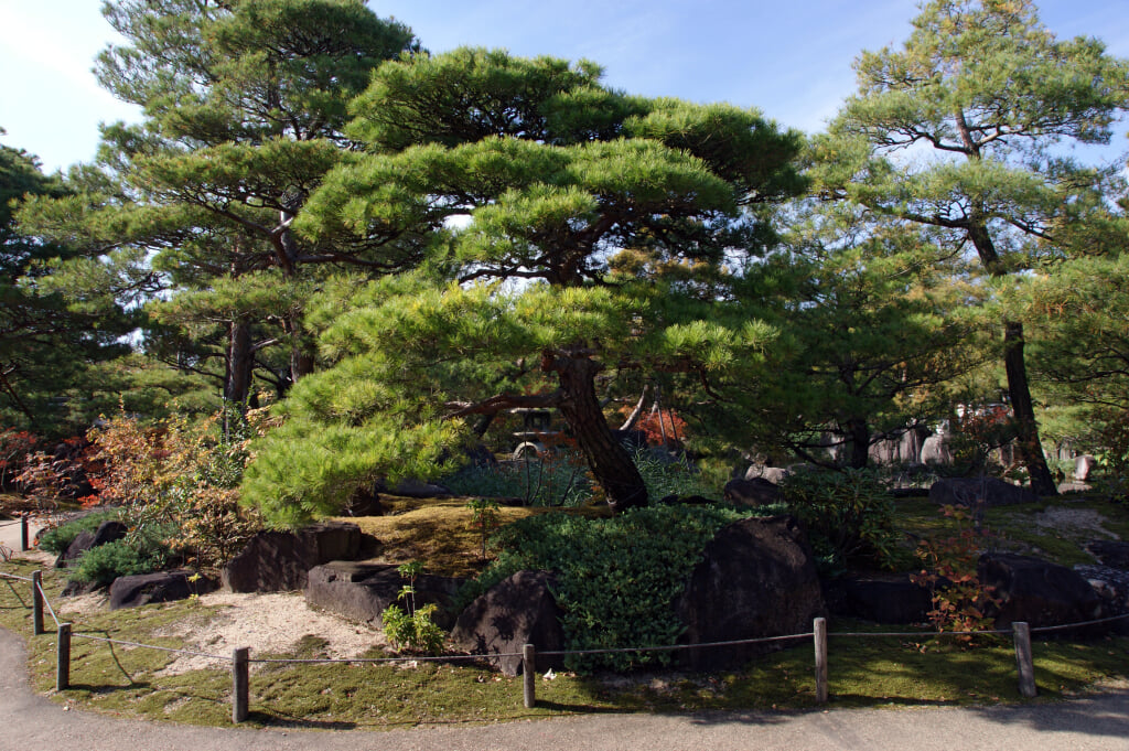 姫路城西御屋敷跡庭園　好古園の写真10