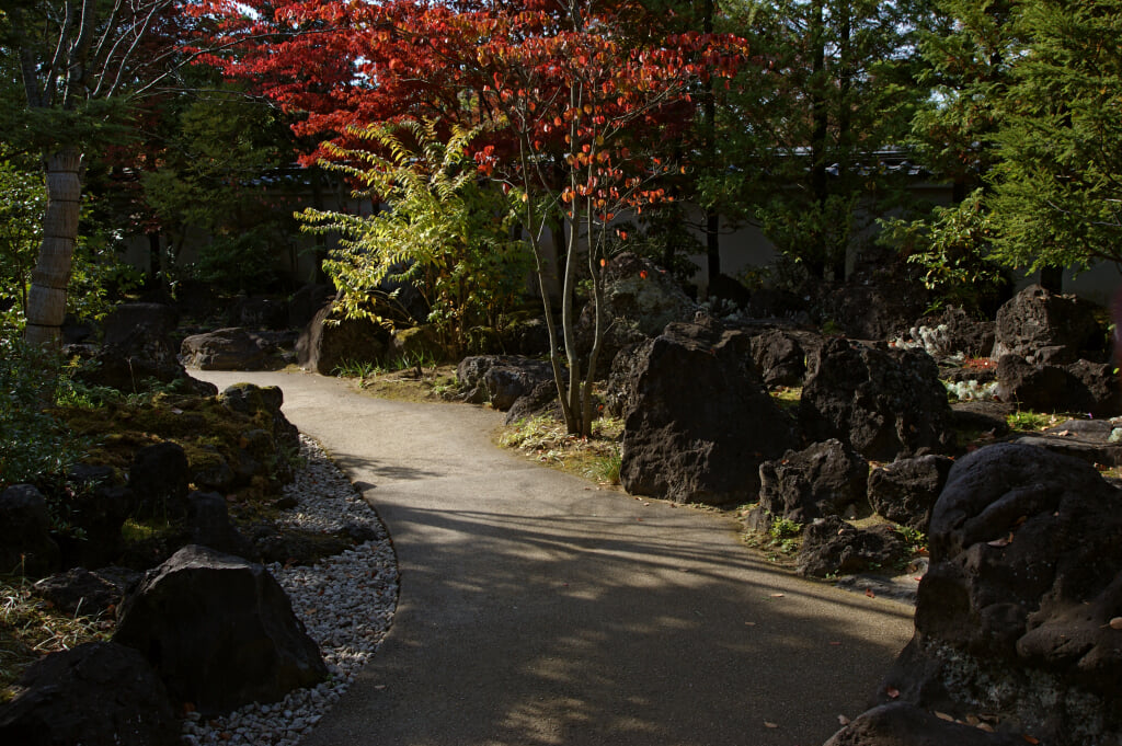 姫路城西御屋敷跡庭園　好古園の写真13