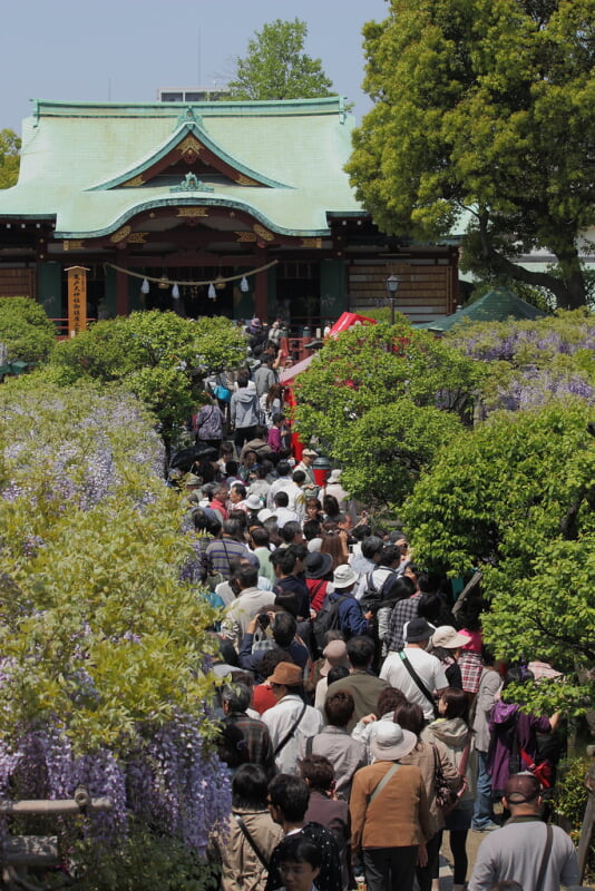 亀戸天神社の写真8